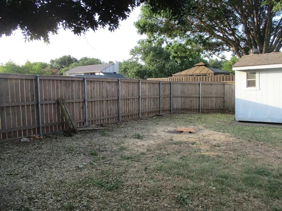 Cleared yard after professional tree removal in Shoshone